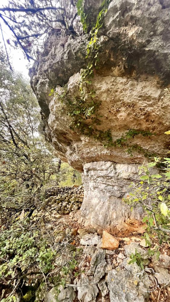 IMG4054IPHONE132025 IMG4054IPHONE132025