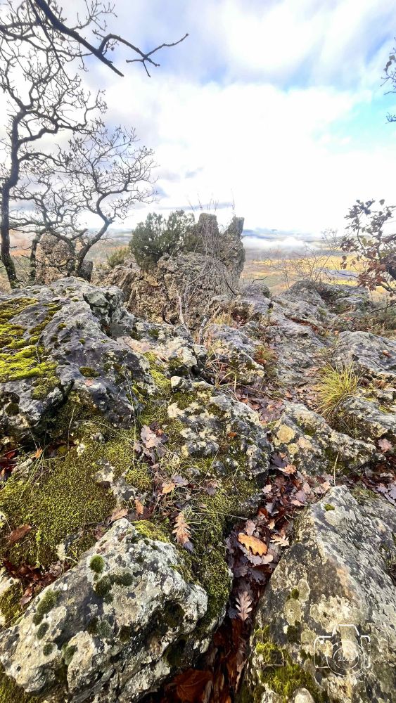 IMG4093IPHONE132025 IMG4093IPHONE132025