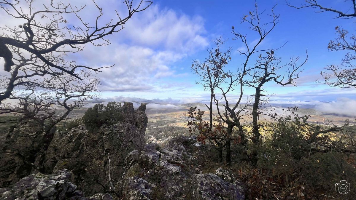 IMG4851IPHONE132025 IMG4851IPHONE132025