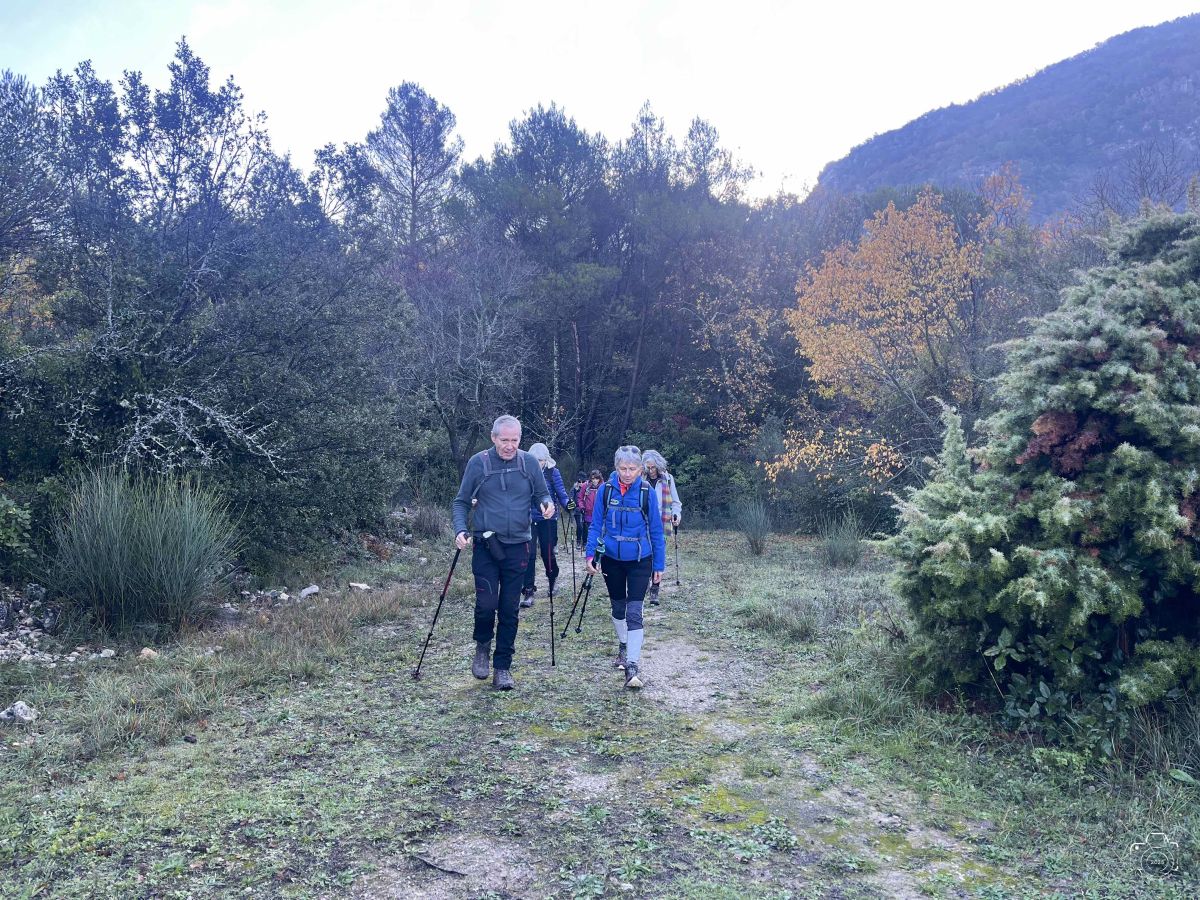 IMG5599IPHONE132025 IMG5599IPHONE132025