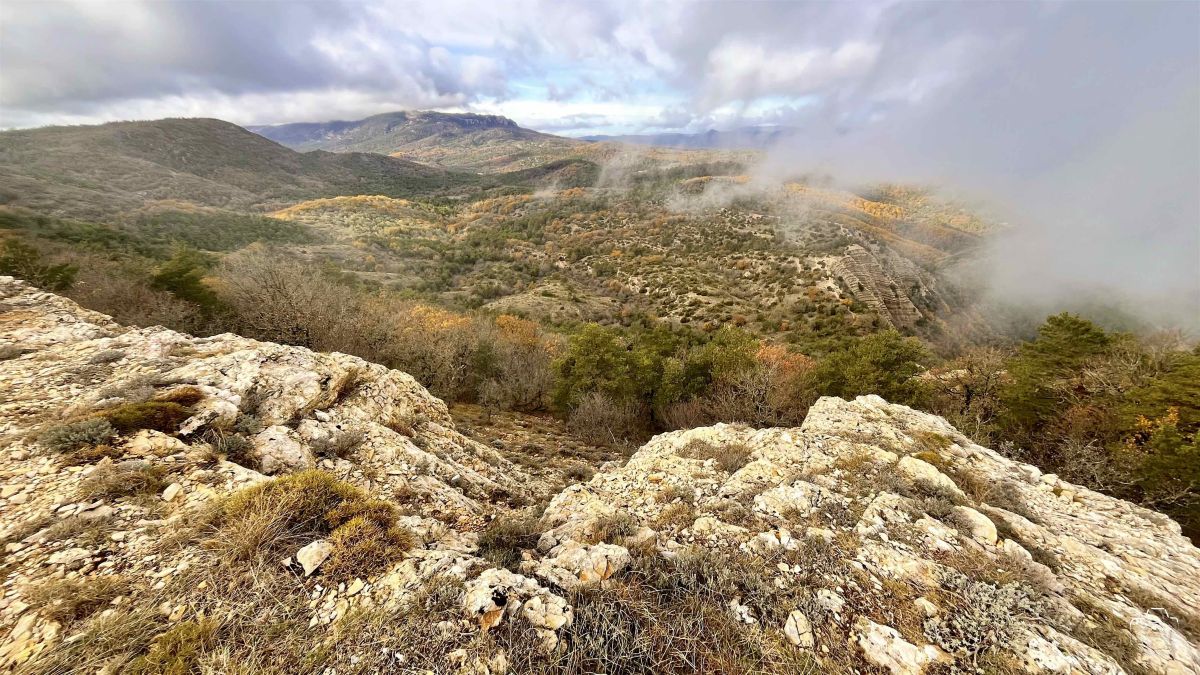 IMG6227IPHONE132025 IMG6227IPHONE132025