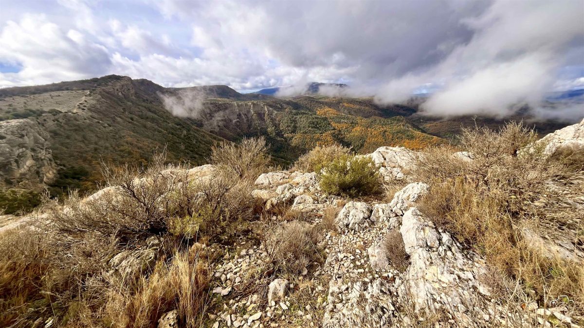 IMG6718IPHONE132025 IMG6718IPHONE132025