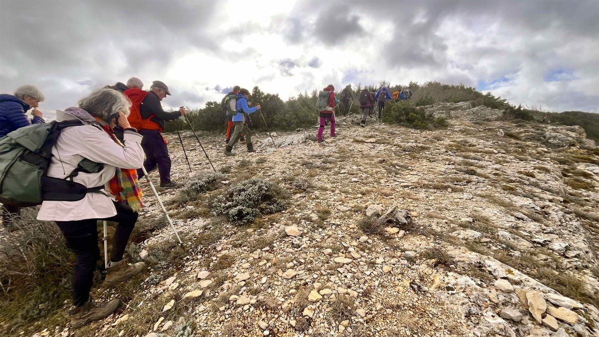 IMG7134IPHONE132025 IMG7134IPHONE132025