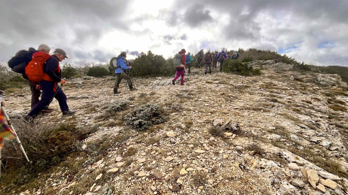 IMG9047IPHONE132025 IMG9047IPHONE132025