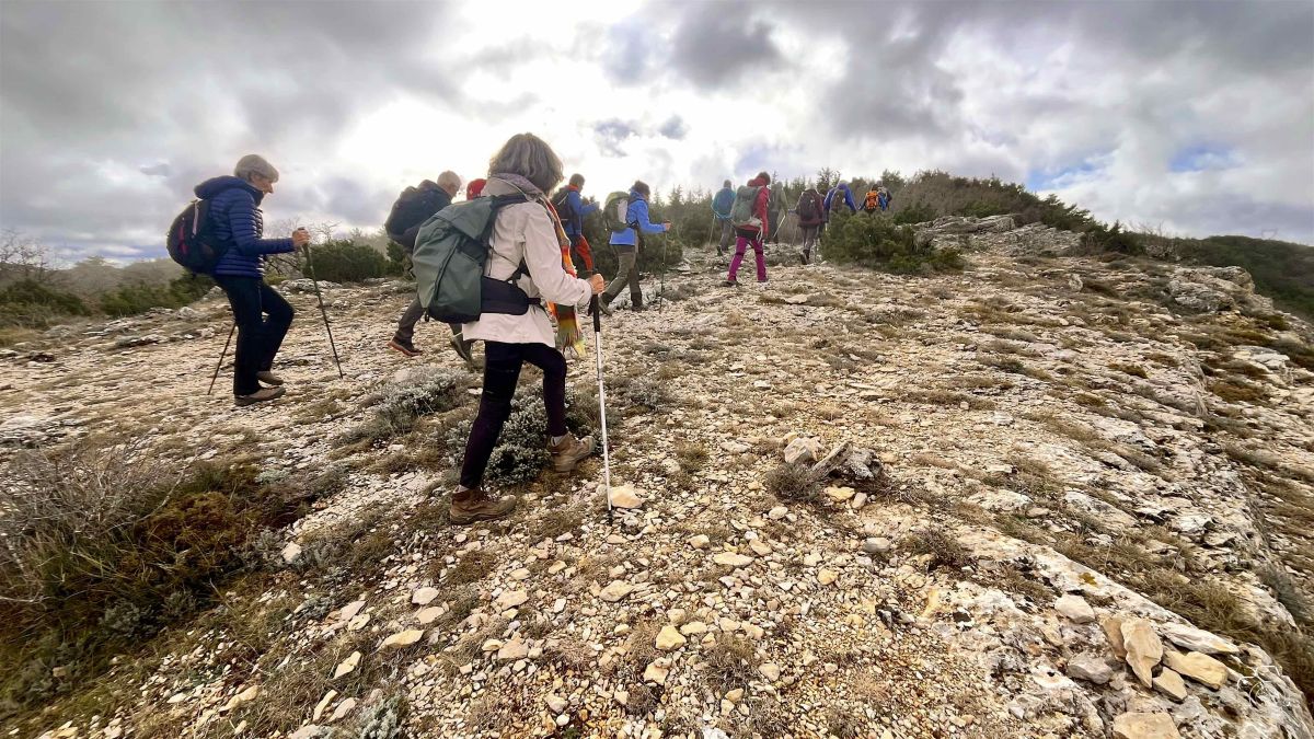 IMG9847IPHONE132025 IMG9847IPHONE132025