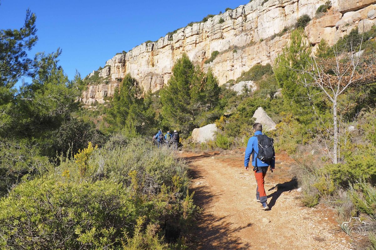 P1292117EM1MARK32026