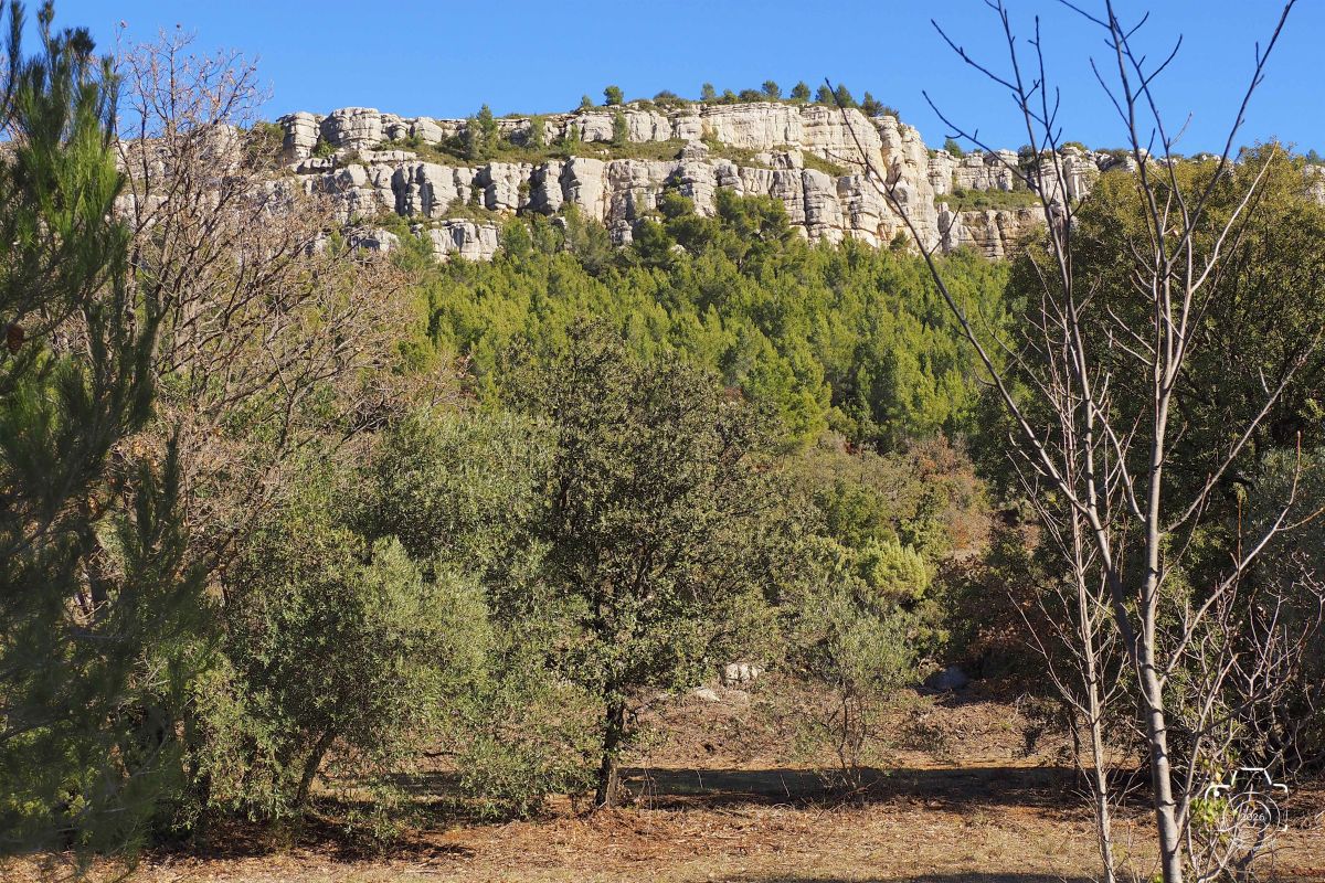 P1292118EM1MARK32026