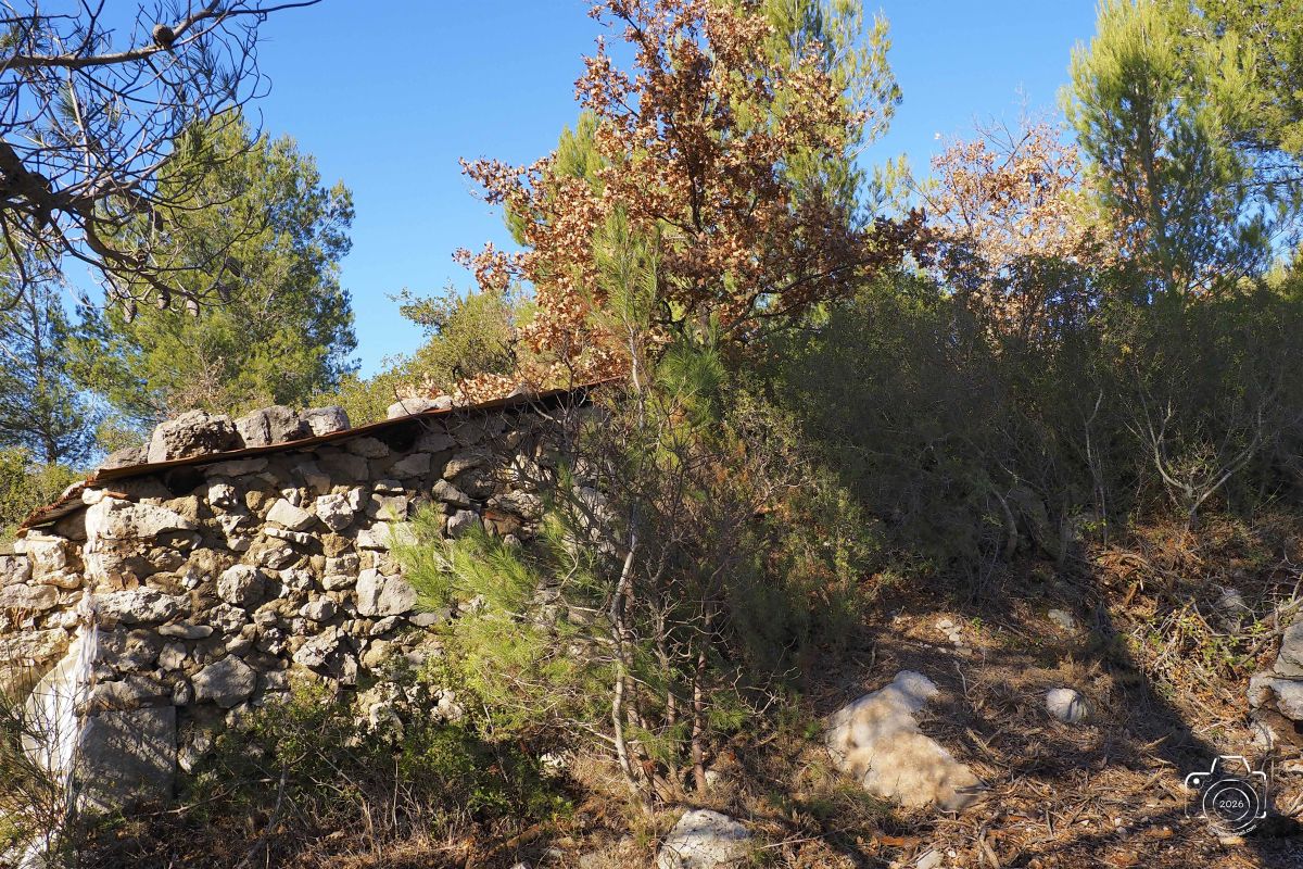 P1292124EM1MARK32026