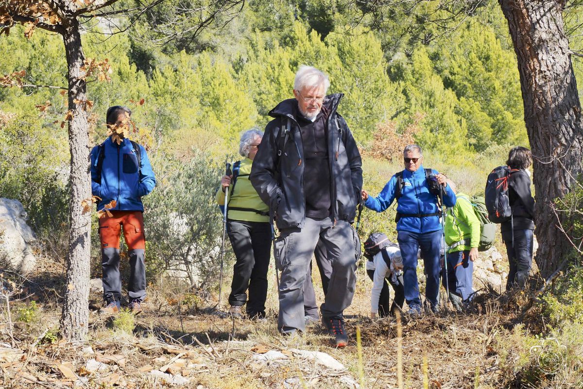 P1292125EM1MARK32026