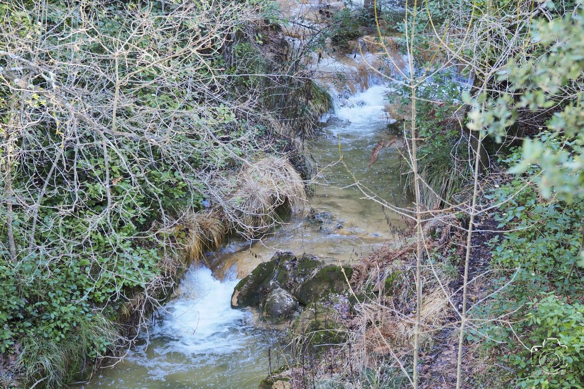 P1292136EM1MARK32026