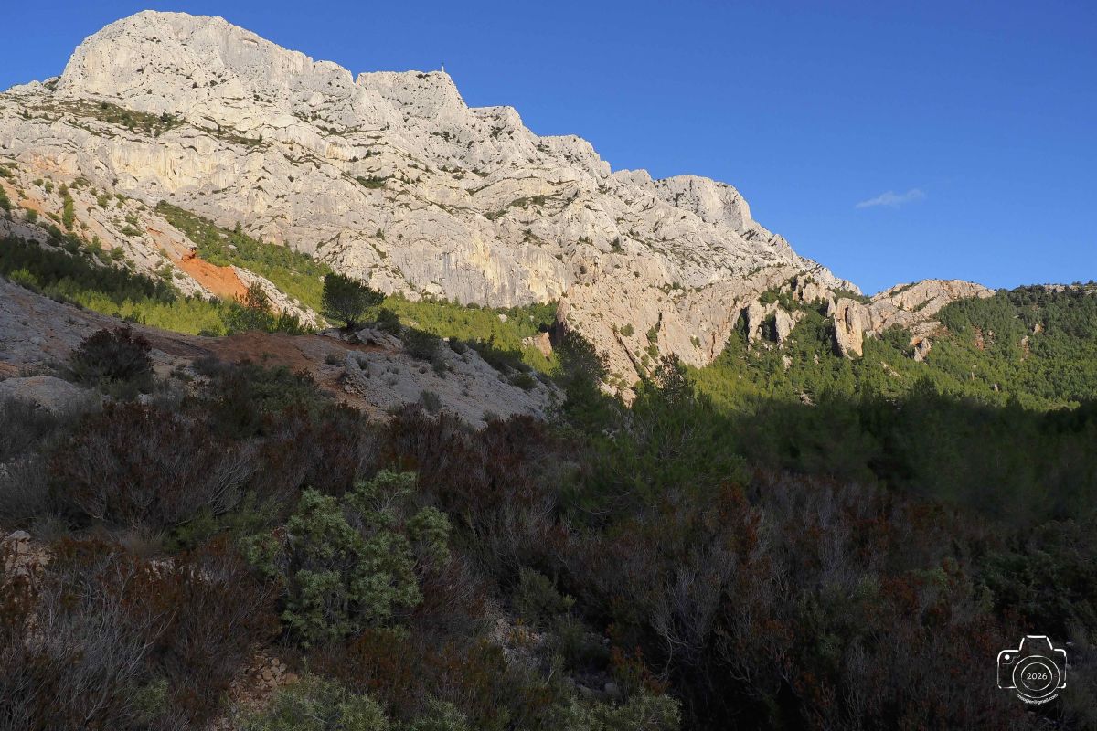 P1292142EM1MARK32026