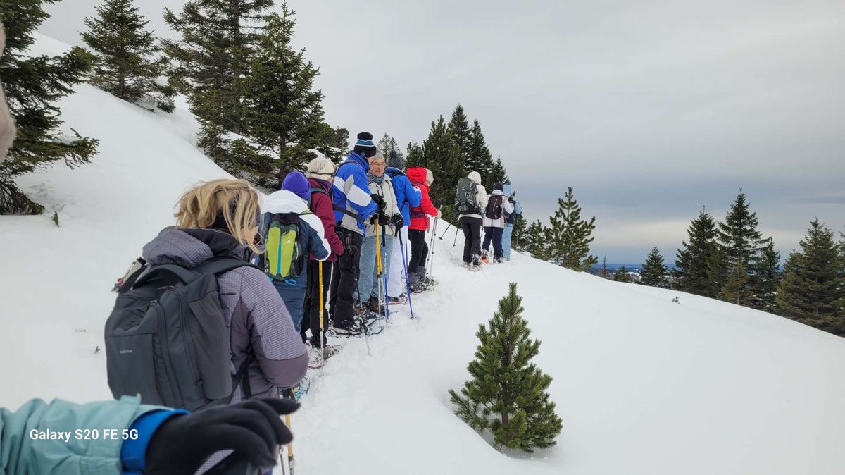 20260127114751