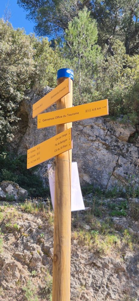 Cruvelier-Brigou-4