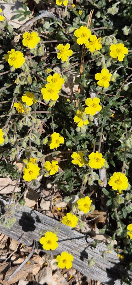 Cruvelier-Brigou-9