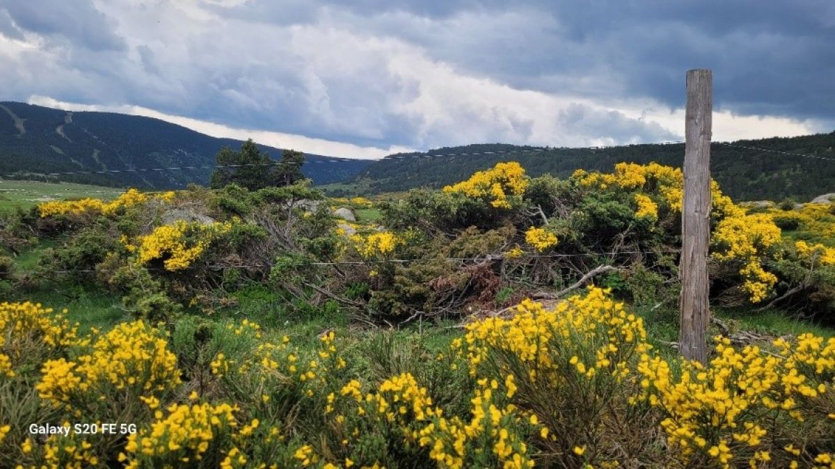 Image15