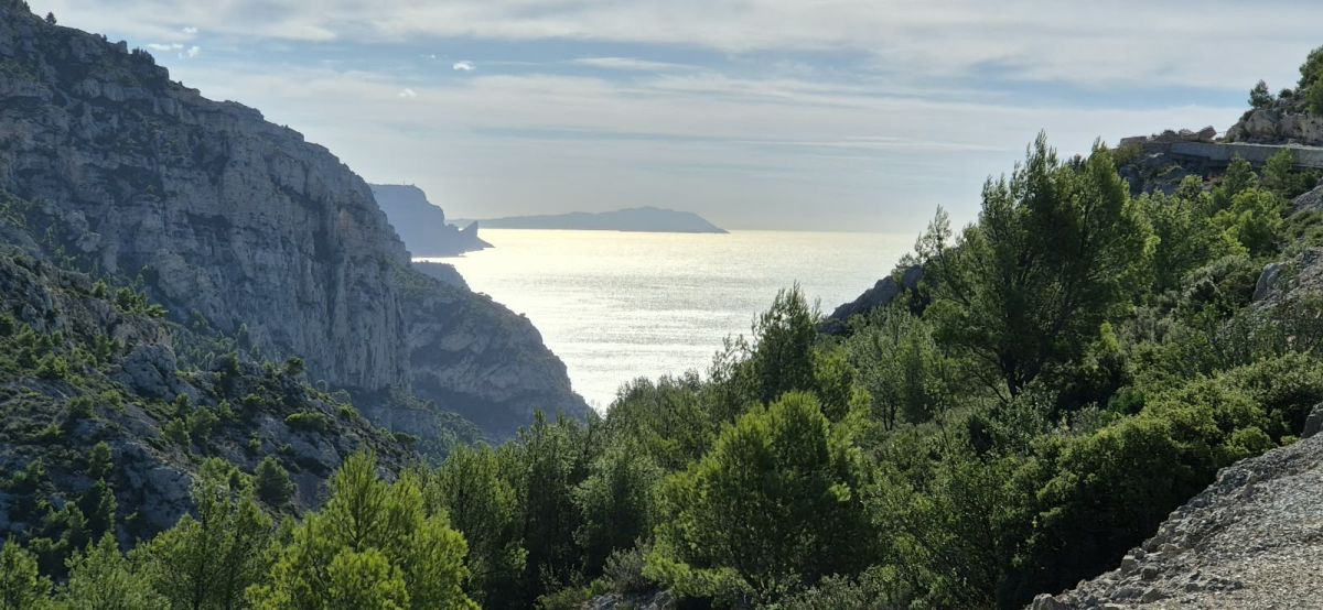 Belvedere-Sugiton-24