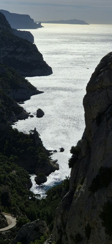 Belvedere-Sugiton-4